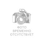 Мотоцикл Regulmoto TE PRO NB300 (Серый)